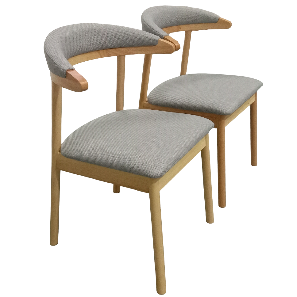 Mindi Fabric Dining Chair (Set of 2)